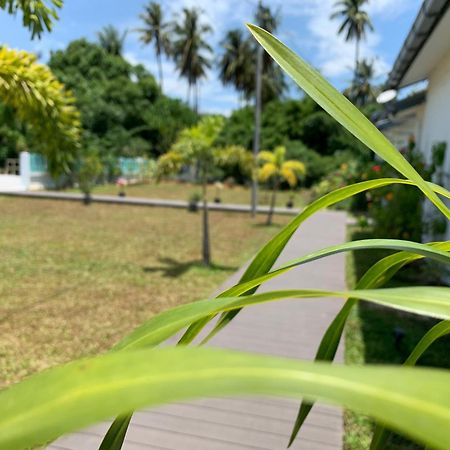 Cloud9 Holiday Cottages Pantai Cenang  Exterior foto