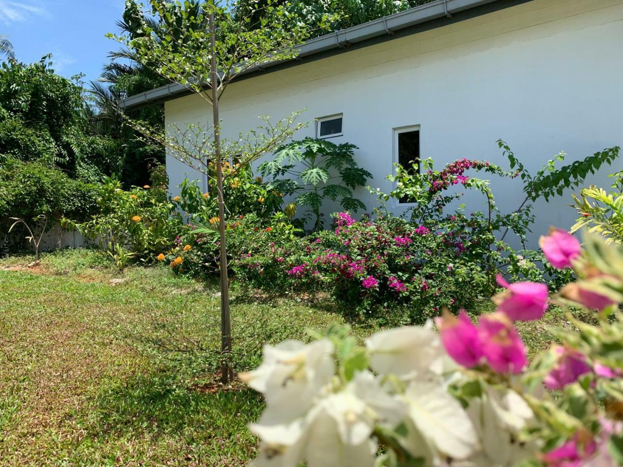 Cloud9 Holiday Cottages Pantai Cenang  Exterior foto